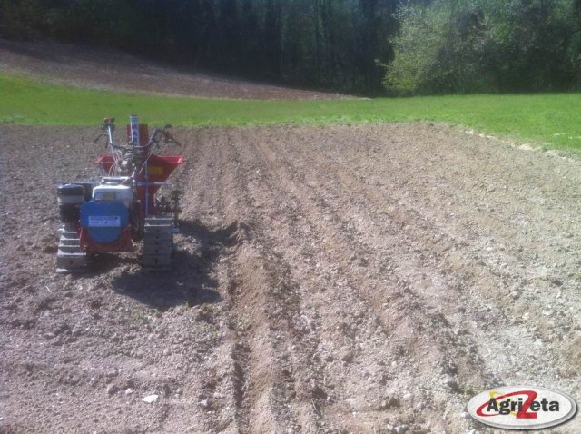 ferro su BCS 740 con seminapatate Marte